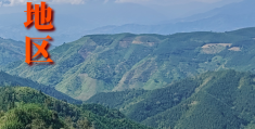 用地球化学“基因”找大矿，云南红河地区超大规模中重稀土矿发现纪实