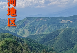 用地球化学“基因”找大矿，云南红河地区超大规模中重稀土矿发现纪实