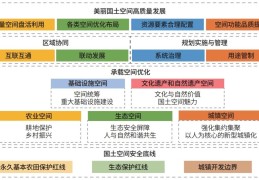 国土空间规划实施监测评估：理论内涵认知与指标体系构建