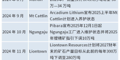 2025年，锂资源的再平衡之战