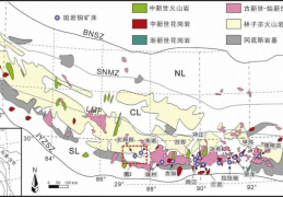 次琼、郑有业等：西藏朱诺矿集区再发现一处大型斑岩型铜钼矿床及其重要意义