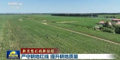 严守耕地红线 提升耕地质量丨新闻联播