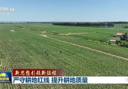 严守耕地红线 提升耕地质量丨新闻联播