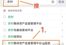 个人农村宅基地确权查询方法，还不会查询的教你手机上快速查询！