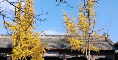 讨论丨《不动产登记规程》讨论六：建设方代为将建筑区划内属于业主共有的道路、绿地等申请登记为业主共有时应当申请首次登记